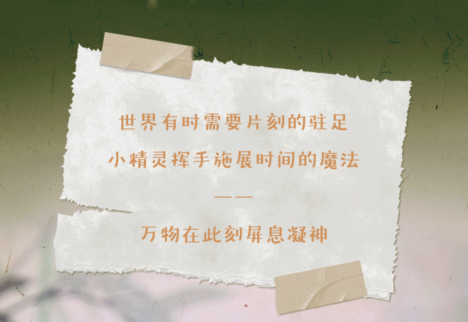 8c05ed8f-5713-4a53-ad00-d7c279625e9b