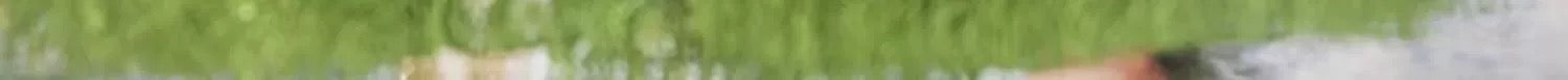 98798b45-a070-49c7-888a-04f8171cb4d8