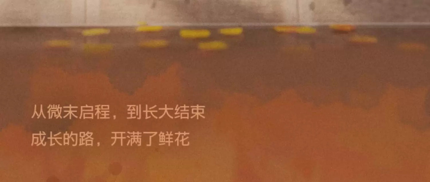 42ccc779-b869-405b-800d-a256c35fdf83