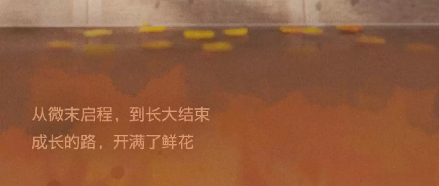 42ccc779-b869-405b-800d-a256c35fdf83